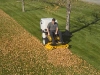 thumbs bagging leafs from lawn Commercial Maintenance